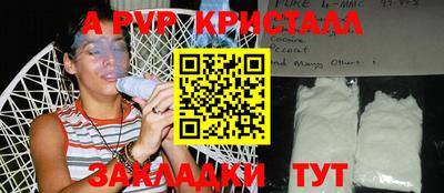 молекула духа Тверь