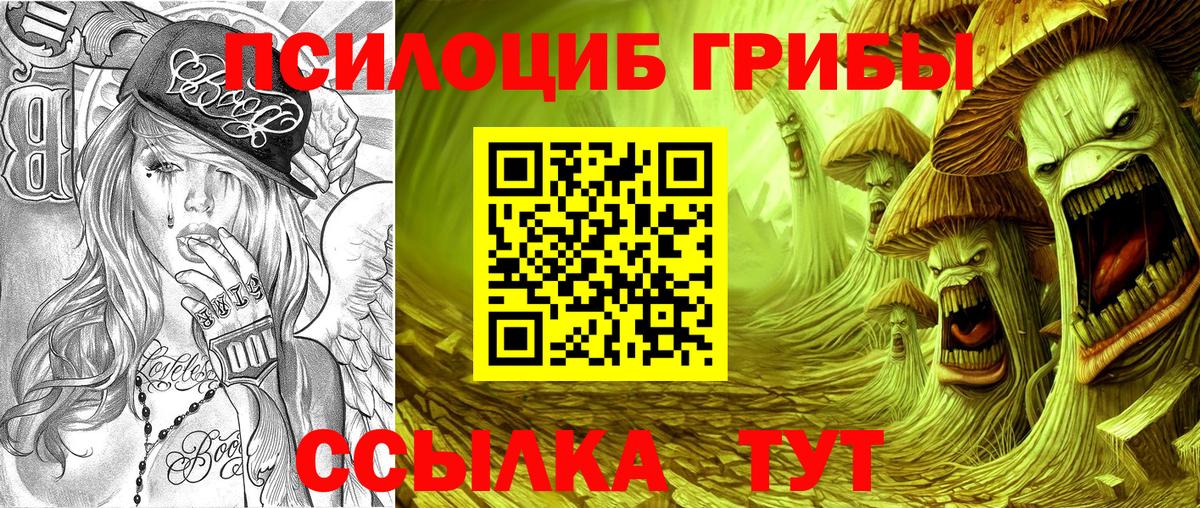 Галлюциногенные грибы Psilocybe Нижневартовск